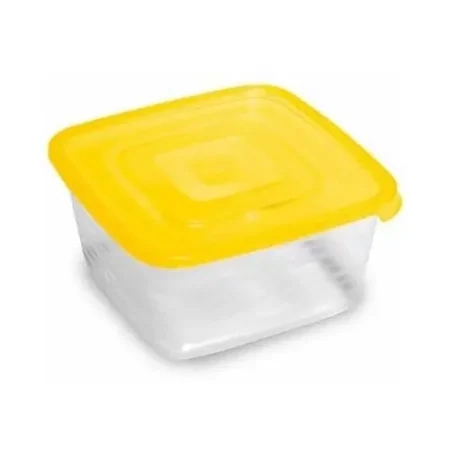 Контейнер пластиковый пищевой «Унико» 0,9л квадратный С209